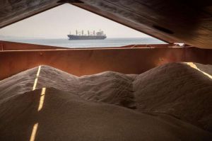 Зерновим коридором експортовано вже 15,5 млн тонн зерна 